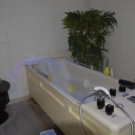 Espace Leonard De Vinci 3* Лисс